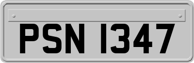PSN1347