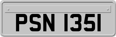 PSN1351