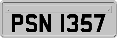 PSN1357