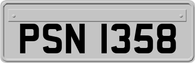 PSN1358