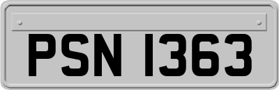 PSN1363