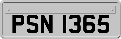 PSN1365