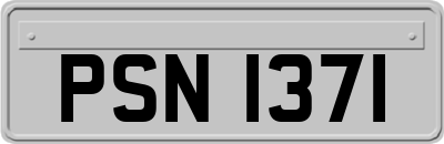 PSN1371