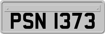 PSN1373