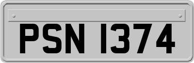 PSN1374