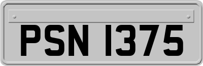 PSN1375