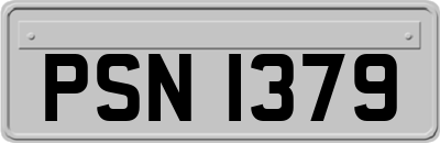 PSN1379
