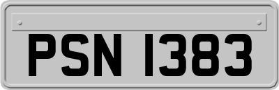 PSN1383