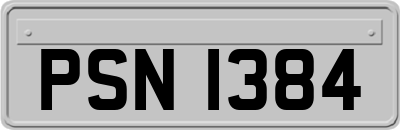 PSN1384