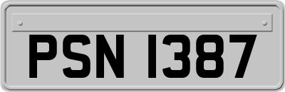 PSN1387