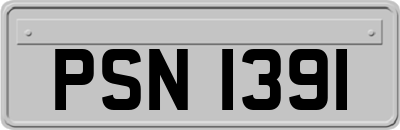 PSN1391