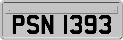 PSN1393