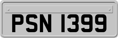 PSN1399