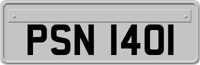 PSN1401