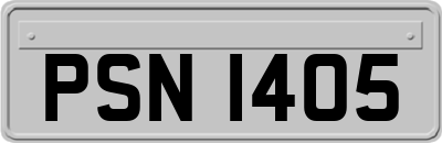 PSN1405