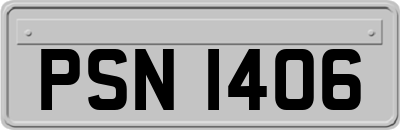 PSN1406