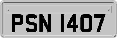 PSN1407