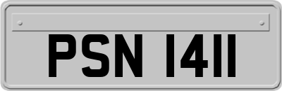 PSN1411