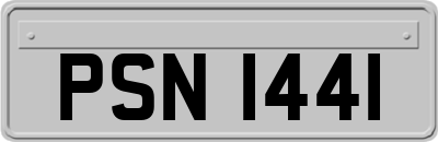 PSN1441