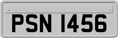 PSN1456