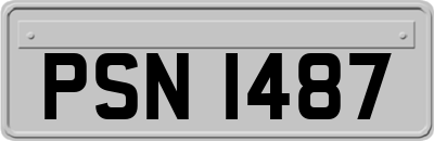 PSN1487