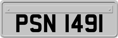 PSN1491