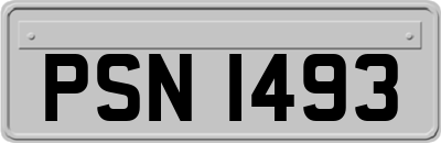 PSN1493