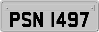 PSN1497
