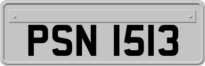 PSN1513