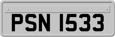 PSN1533