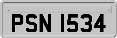 PSN1534