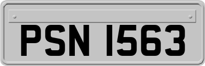 PSN1563