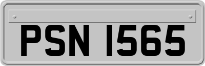 PSN1565