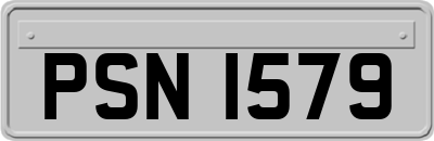 PSN1579