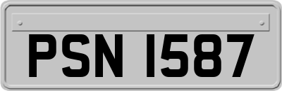 PSN1587
