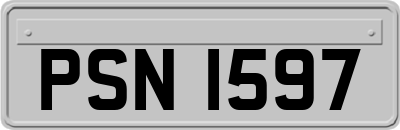 PSN1597