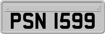 PSN1599