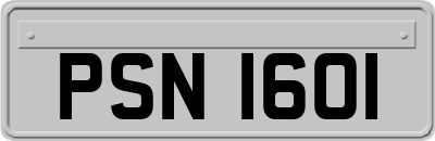 PSN1601