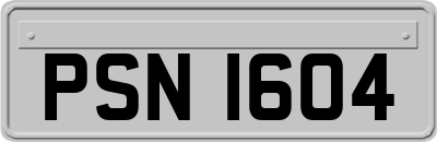 PSN1604