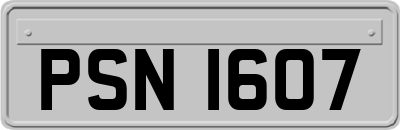 PSN1607