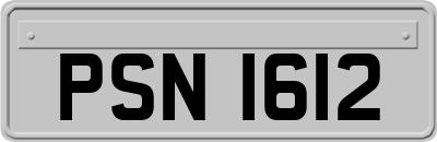 PSN1612