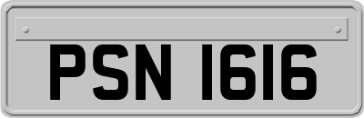 PSN1616