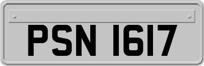 PSN1617