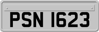 PSN1623