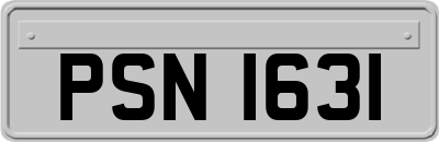 PSN1631