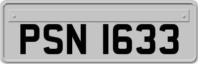 PSN1633