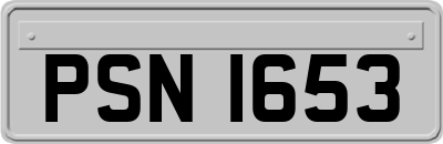 PSN1653