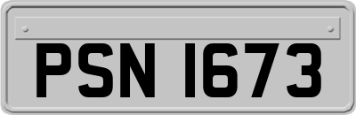 PSN1673