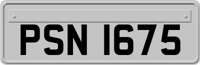 PSN1675