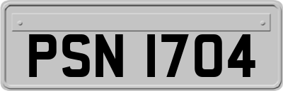 PSN1704